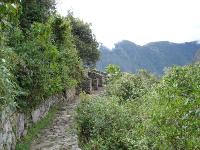 DSC00196