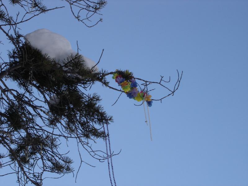 DSC00415 <?xml version=