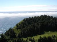 DSC00769