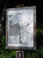 DSC00772
