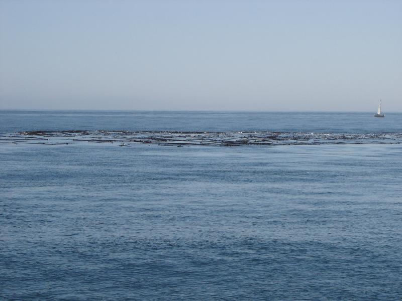 DSC00916 <?xml version=