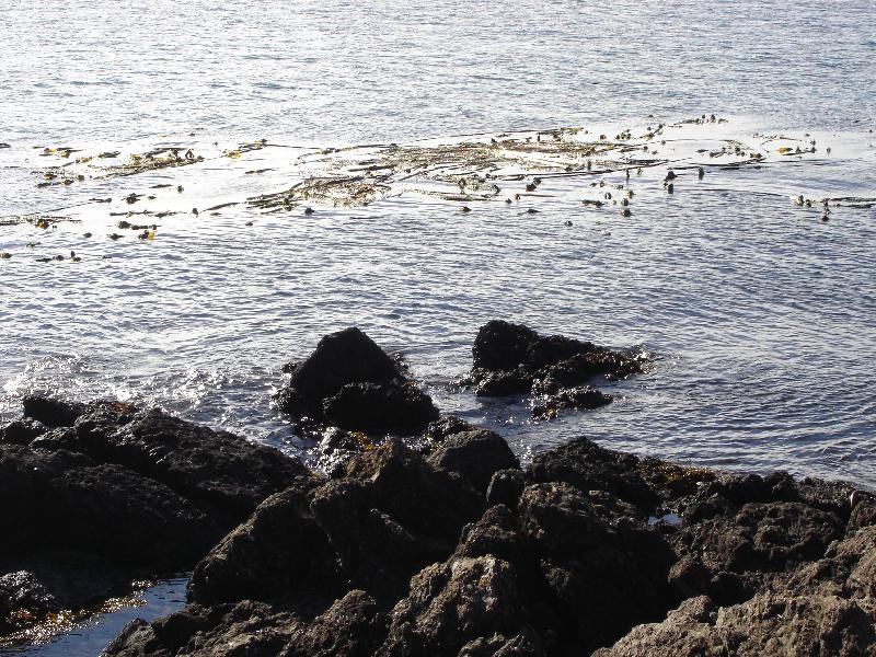 DSC00965 <?xml version=