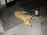DSC00809 <?xml version=