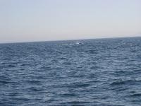 DSC00854