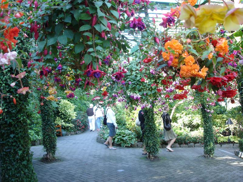 DSC00990 <?xml version=