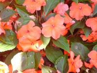 DSC01119 <?xml version=