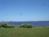 DSC05454 