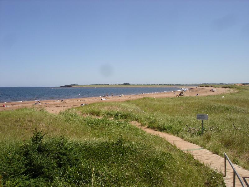 DSC05595 