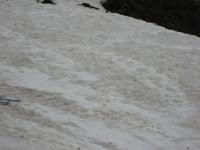 IMG_1083