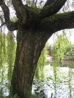 IMG_1685 