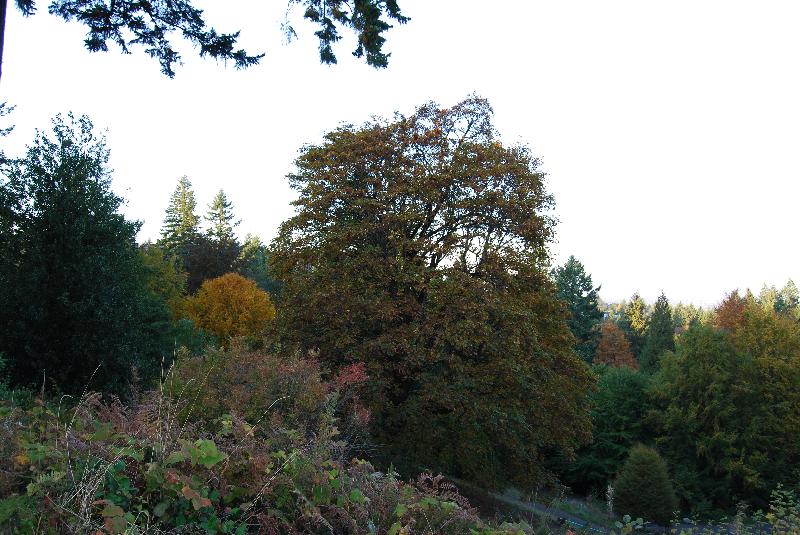 DSC_0430 