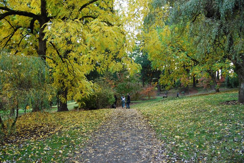 DSC_0452 