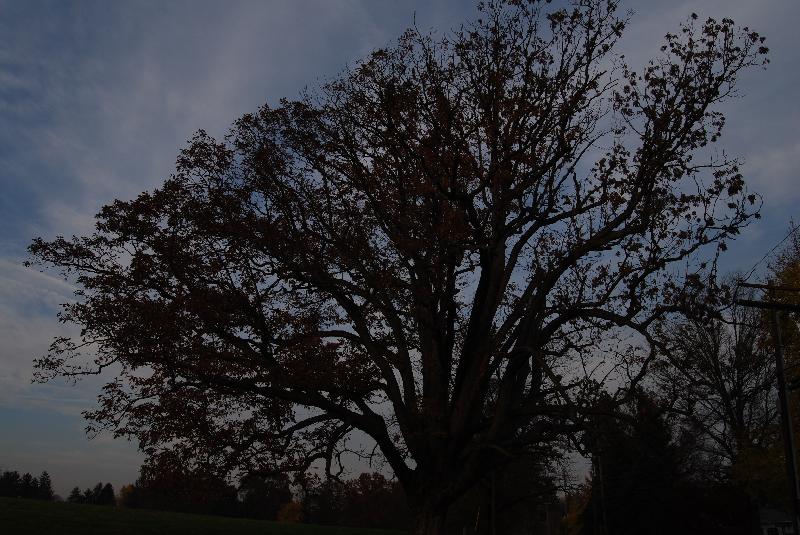 DSC_0107 