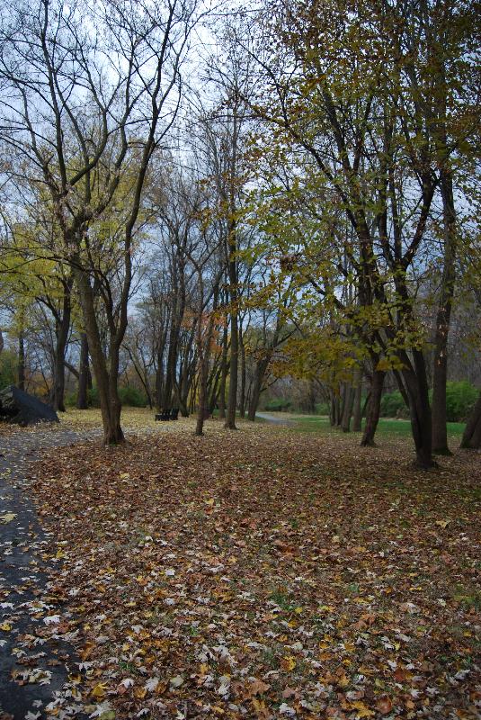 DSC_0171 