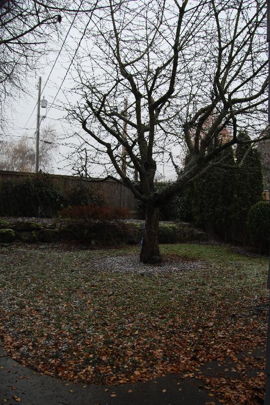 DSC_0031 