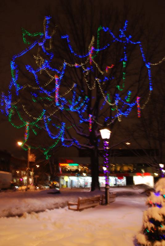DSC_0090 