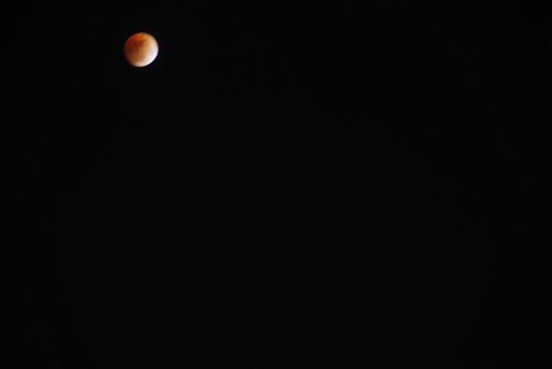 DSC_0031