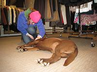 IMG_3450