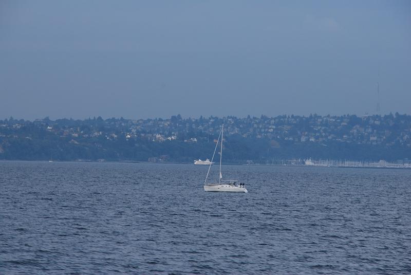 DSC_0306