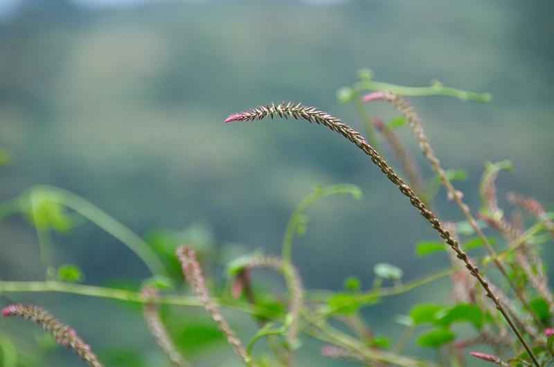 DSC_0168